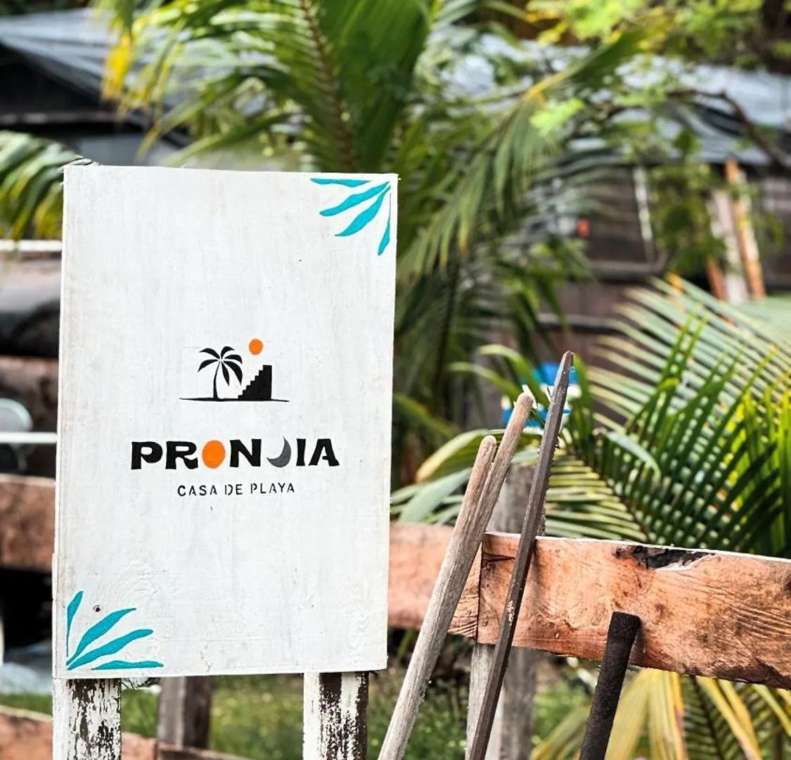 Pronoia Casa De Playa Villa Mahahual