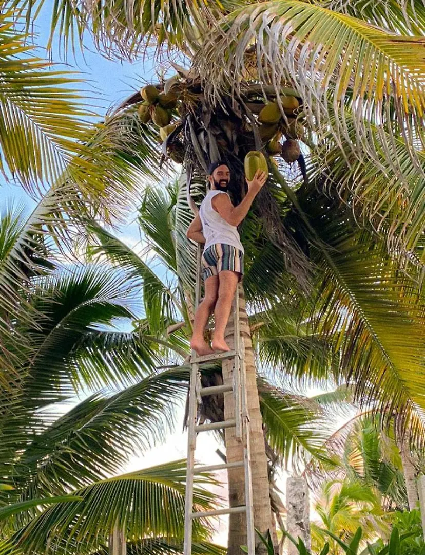 Pronoia Casa De Playa Villa Mahahual Holiday home