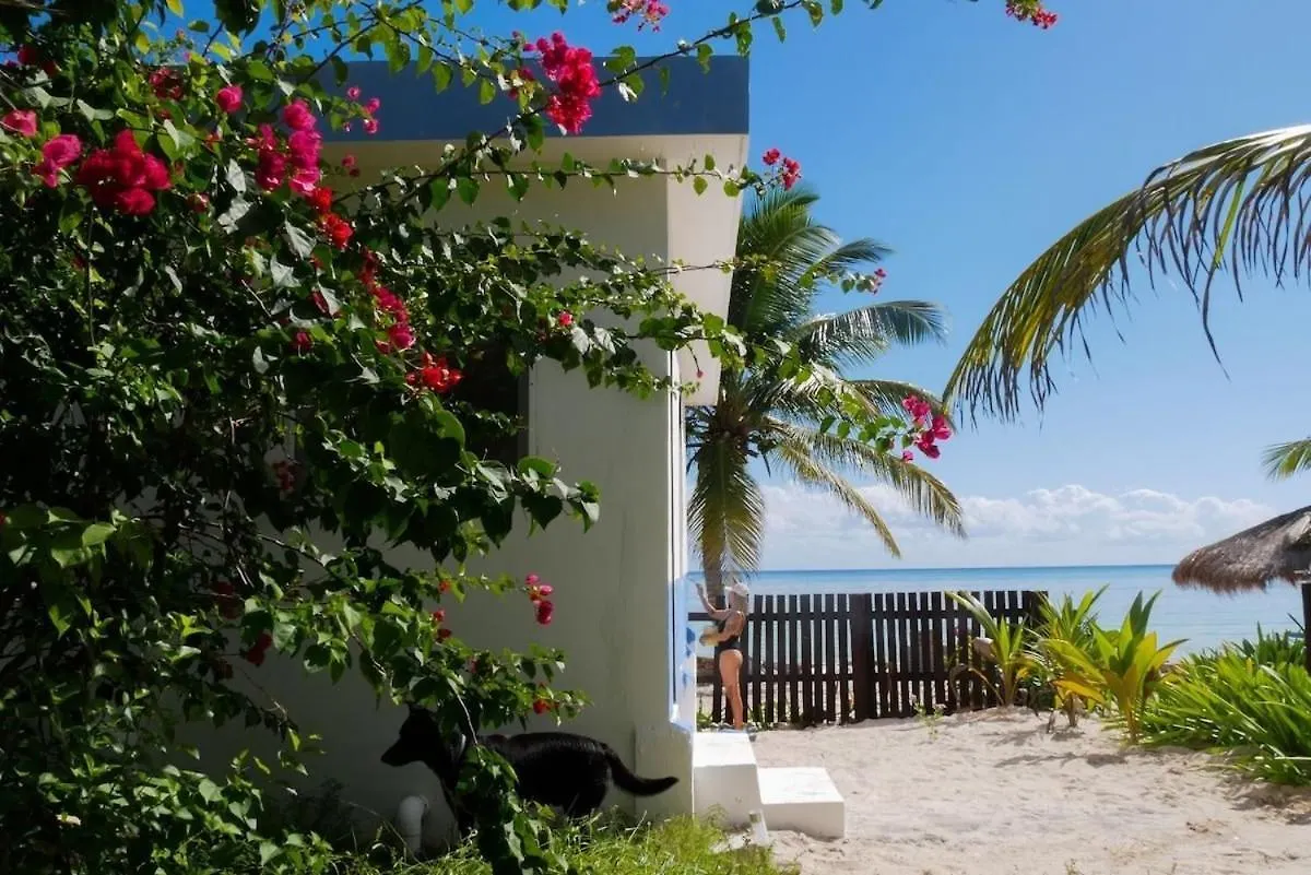 Pronoia Casa De Playa Villa Mahahual Holiday home