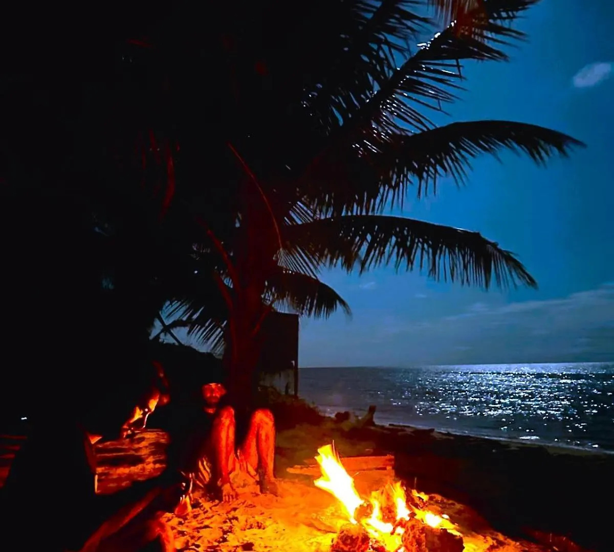 Pronoia Casa De Playa Villa Mahahual